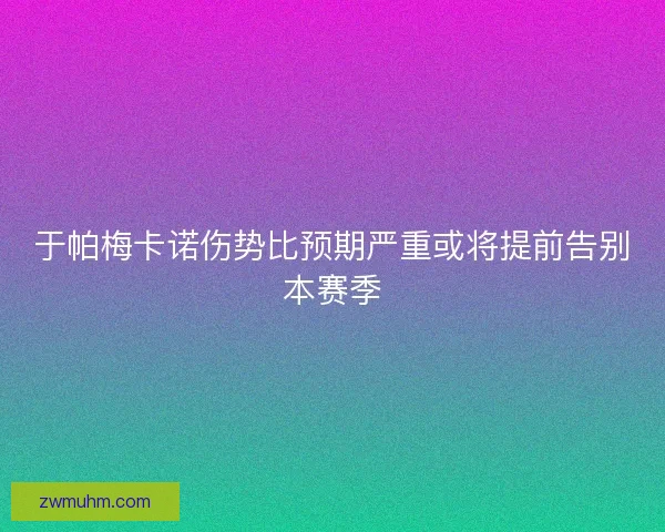 于帕梅卡诺伤势比预期严重或将提前告别本赛季