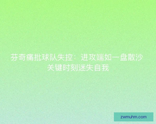 芬奇痛批球队失控：进攻端如一盘散沙 关键时刻迷失自我